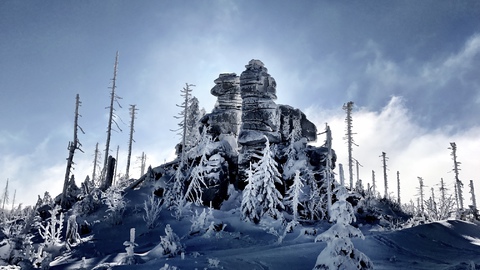 Der Böhmerwald – eine Wildnis mitten in Europa, Bild 22